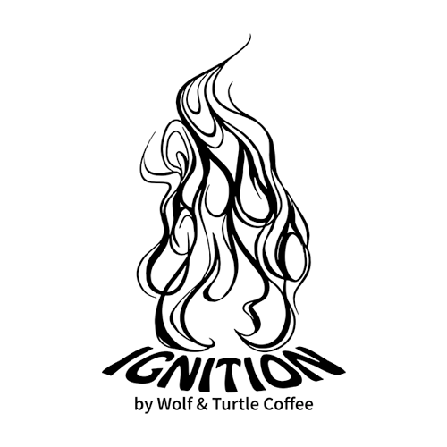 IGNITION flame logo.png