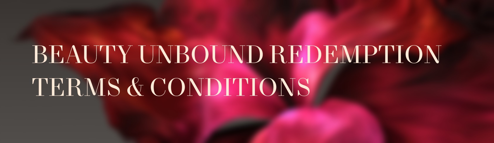 beauty unbound redemption T&Cs banner.jpg
