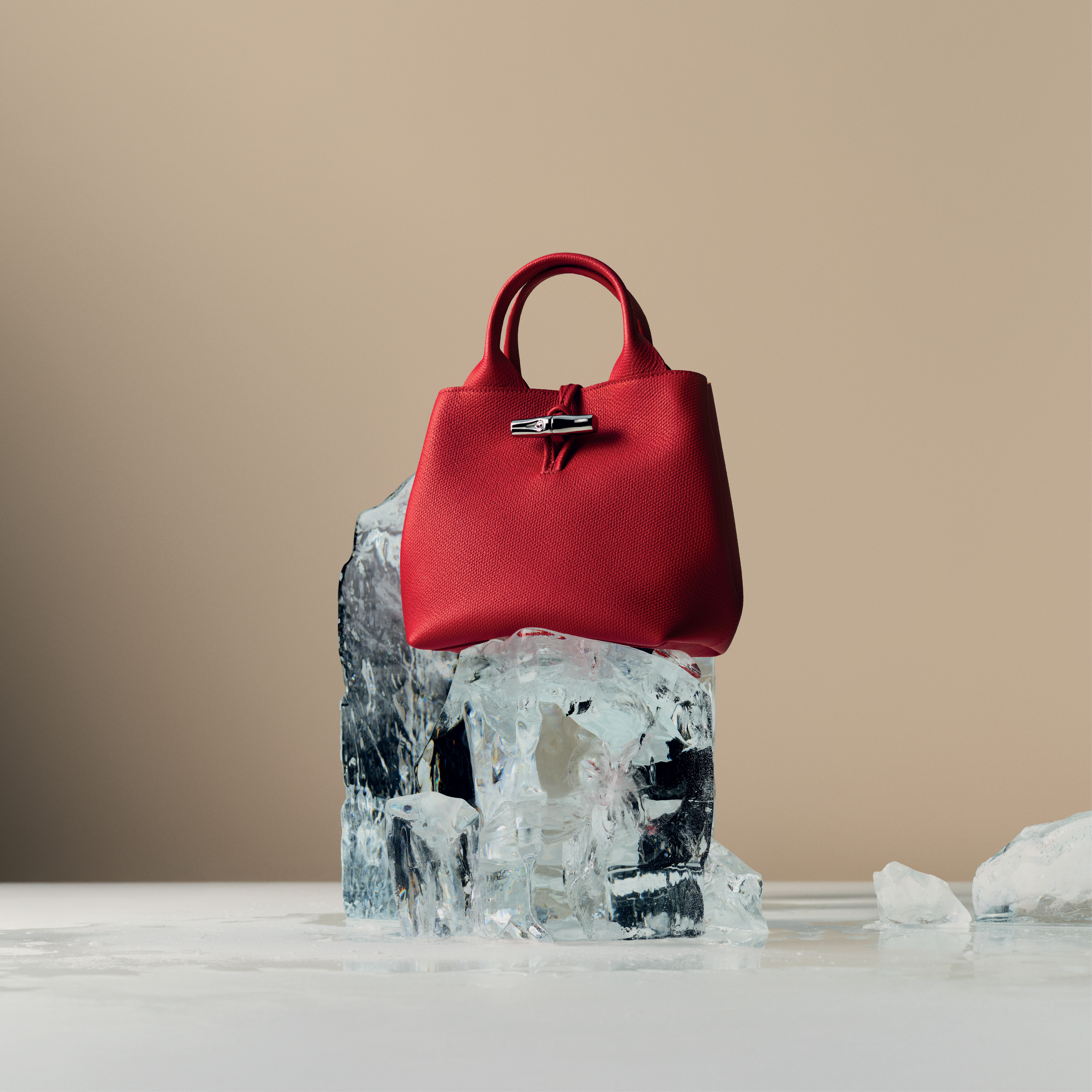 Longchamp | Le Rouseau Image